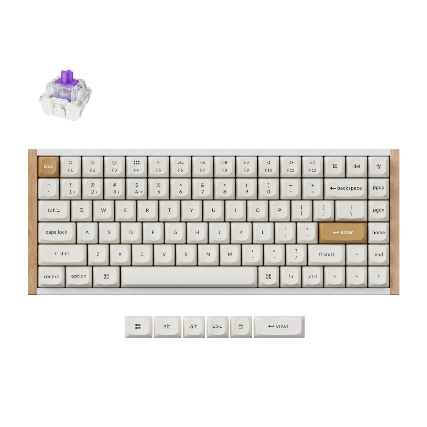 Keychron K2 HE Wireless Special Edition Magnetic Custom Keyboard | NEBULA Switch White